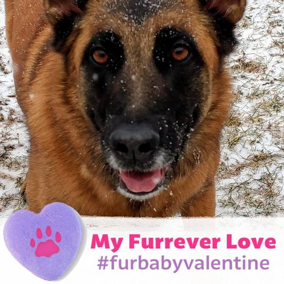 Meet your Posher, Sharron - Picture 1 of 1